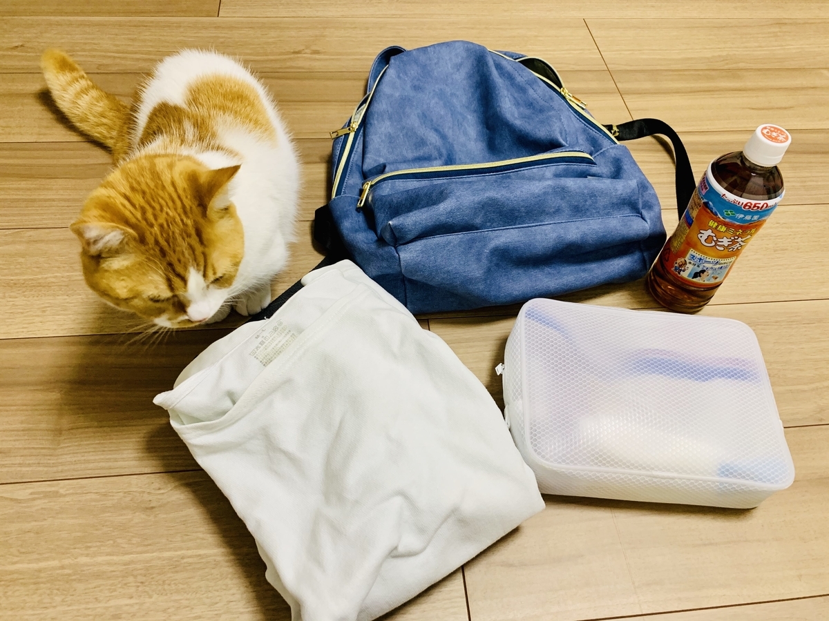 ボランティアにいくときの荷物