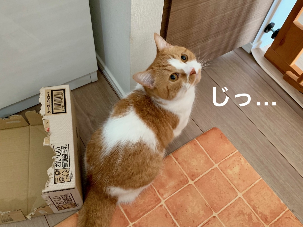 食いしん坊のるるちゃん1