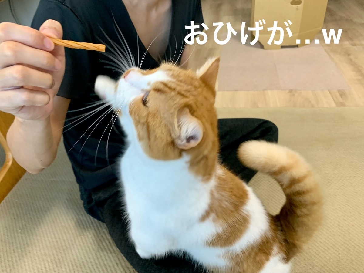 歯磨きおやつを食べるるるちゃん1