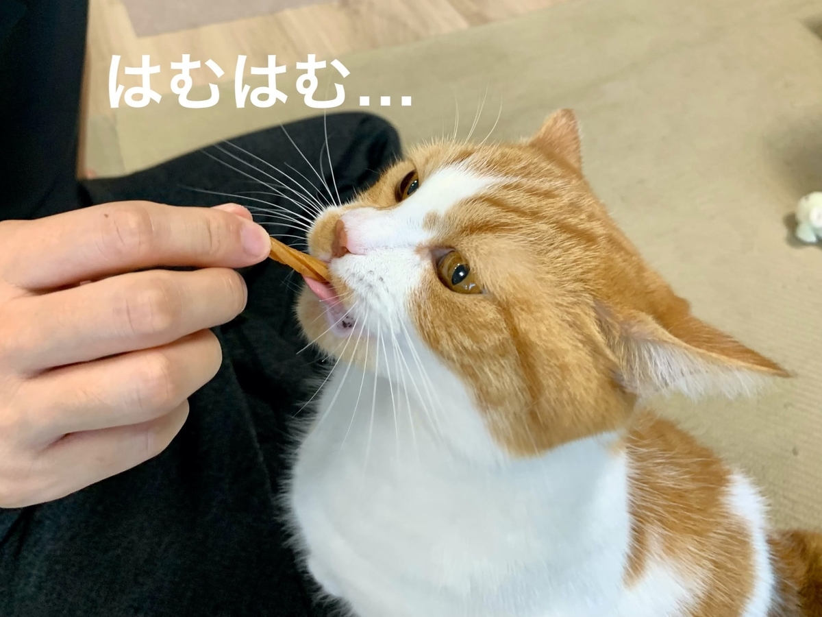 歯磨きおやつを食べるるるちゃん2