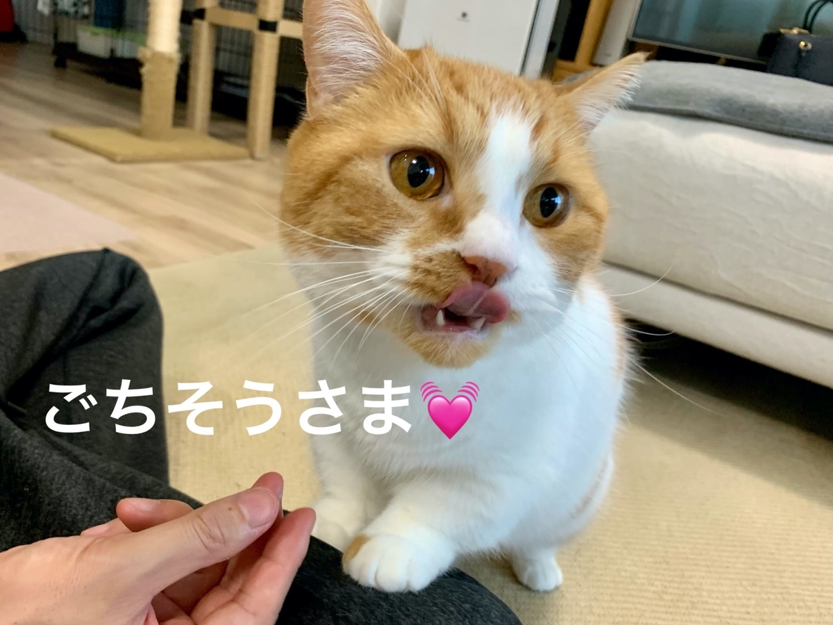 歯磨きおやつを食べるるるちゃん5