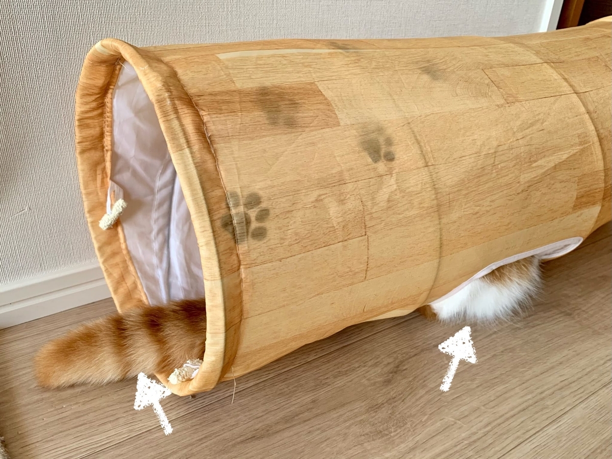 トンネルに隠れるるるちゃん2