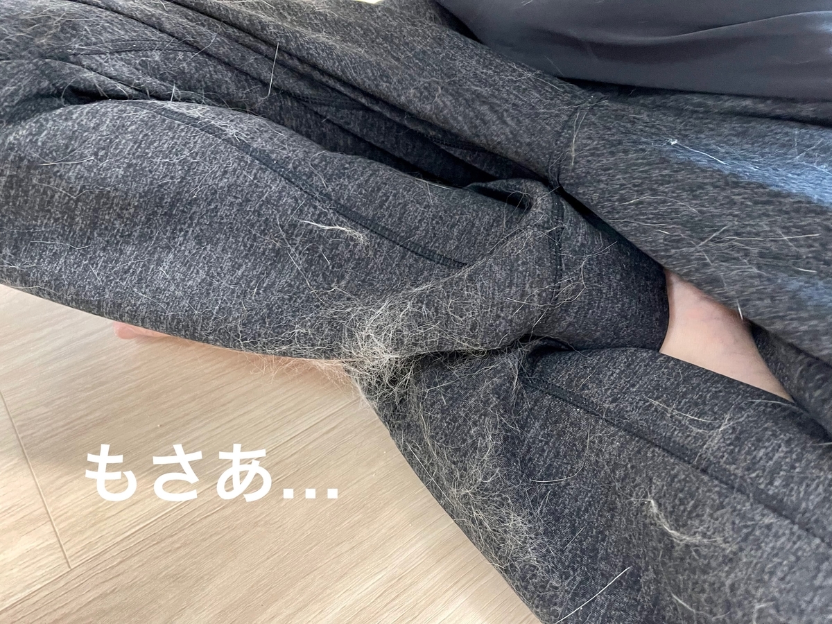 るるちゃんの抜け毛2
