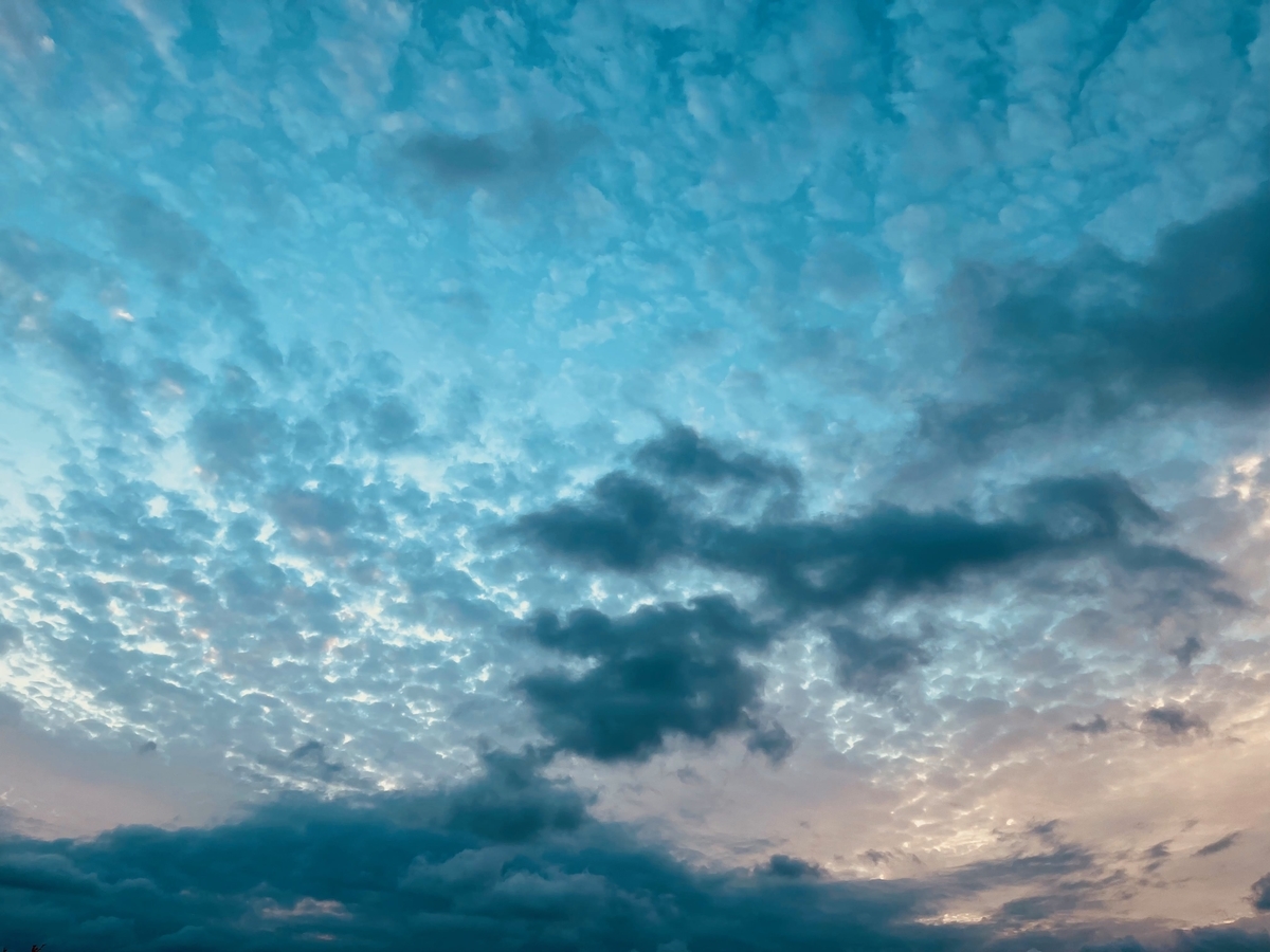 夕方のうろこ雲