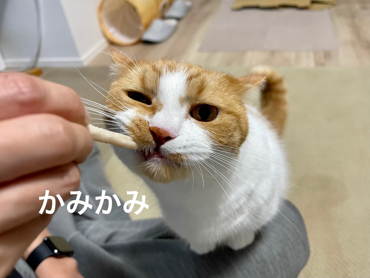 歯磨きおやつを食べるるるちゃん
