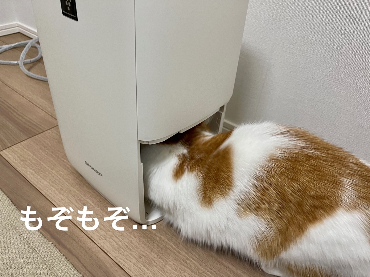 加湿器とるるちゃん1