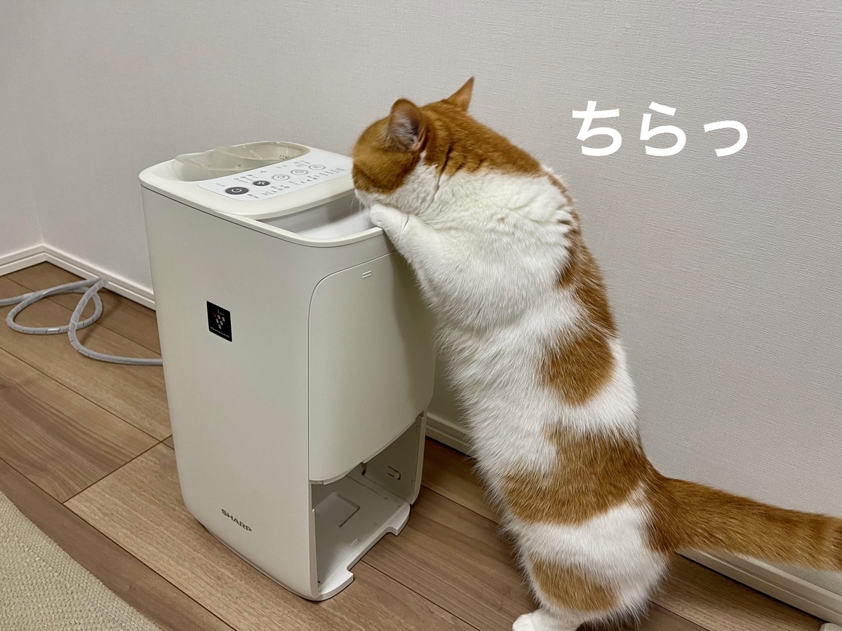 加湿器とるるちゃん2