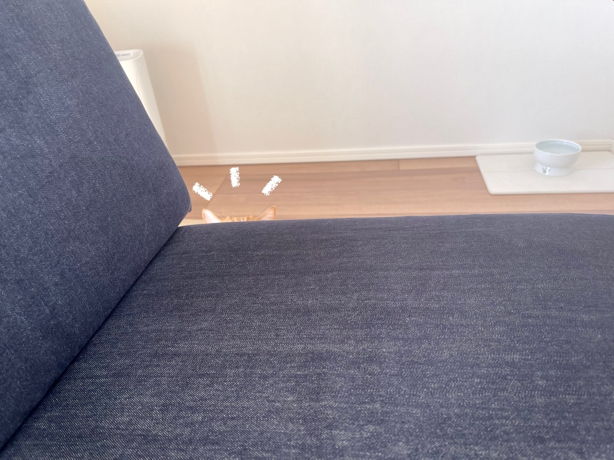 かくれんぼするるるちゃん1