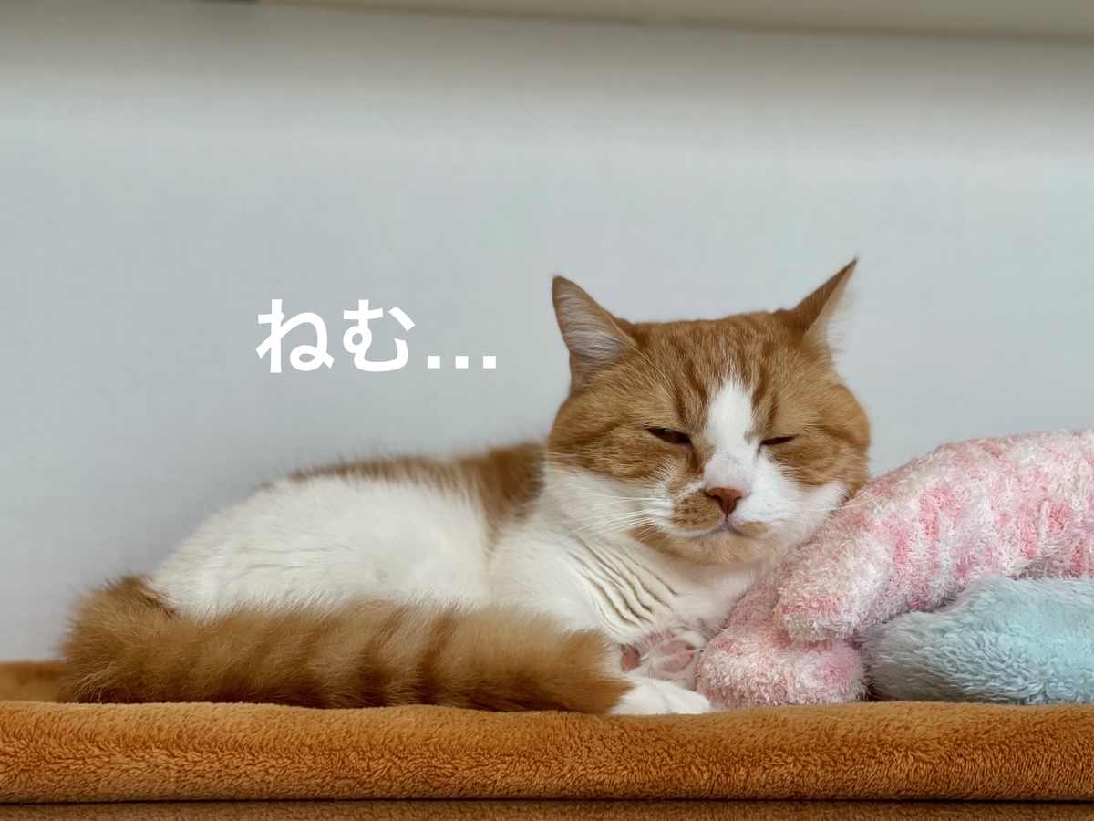 やっぱり眠いるるちゃん