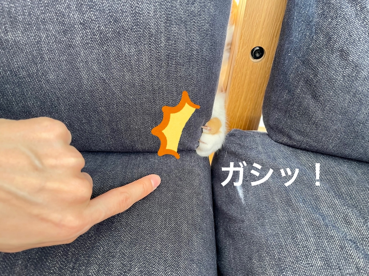 ソファの隙間から狙うるるちゃん2