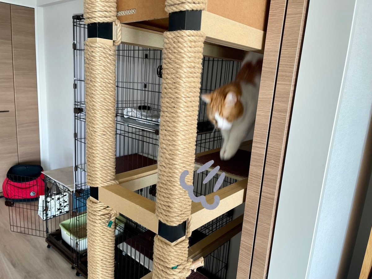 急いで降りてくるるるちゃん