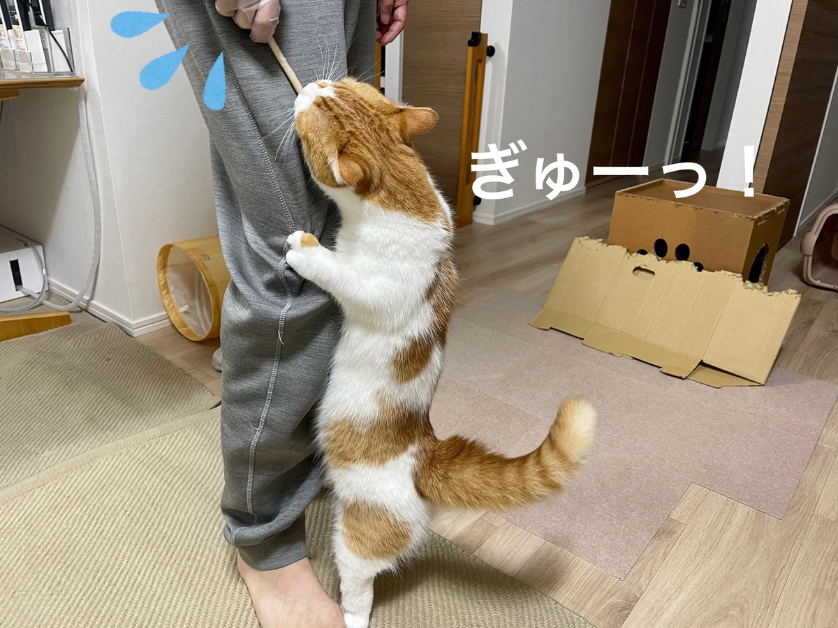 おやつが待ちきれないるるちゃん2