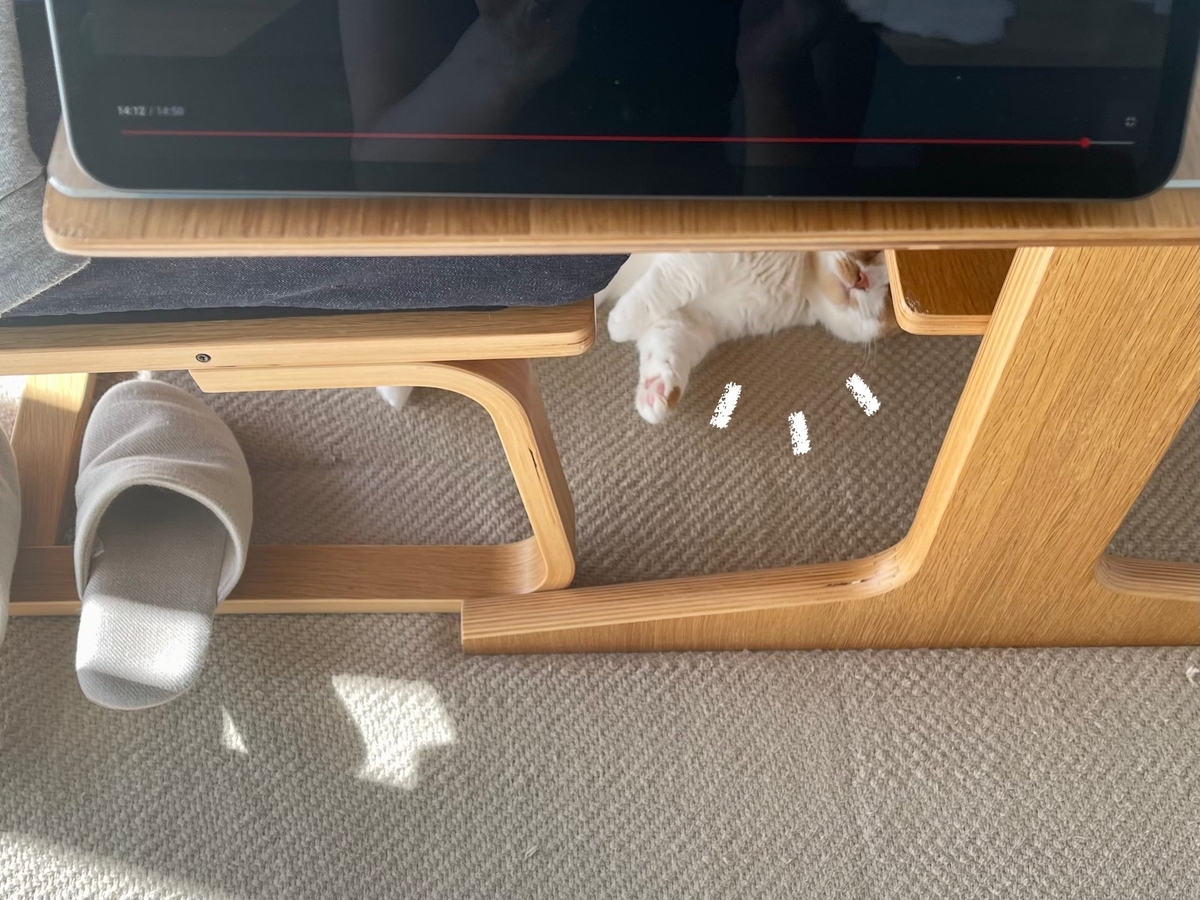 テーブルの下でごろごろするるるちゃん1