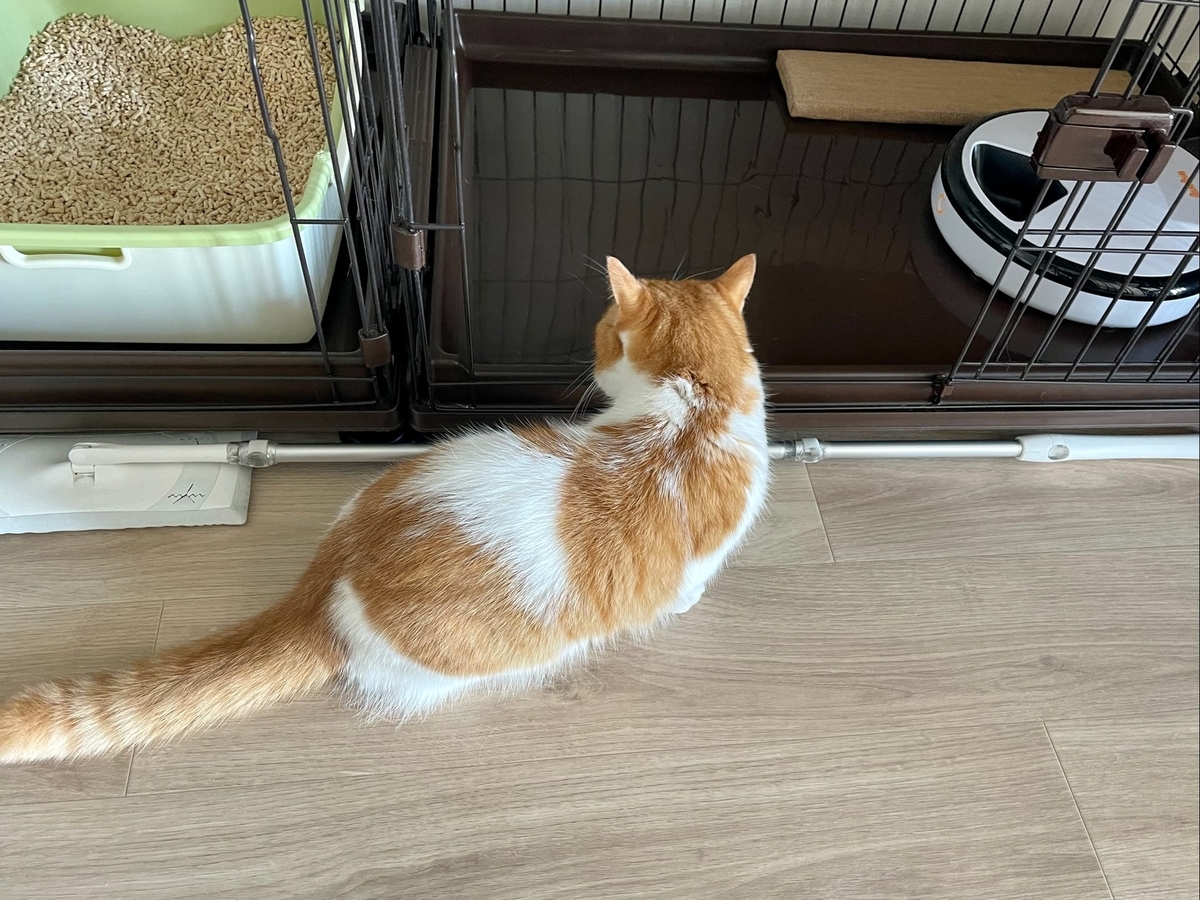 ケージの下に入り込まないように置いたフロアワイパー