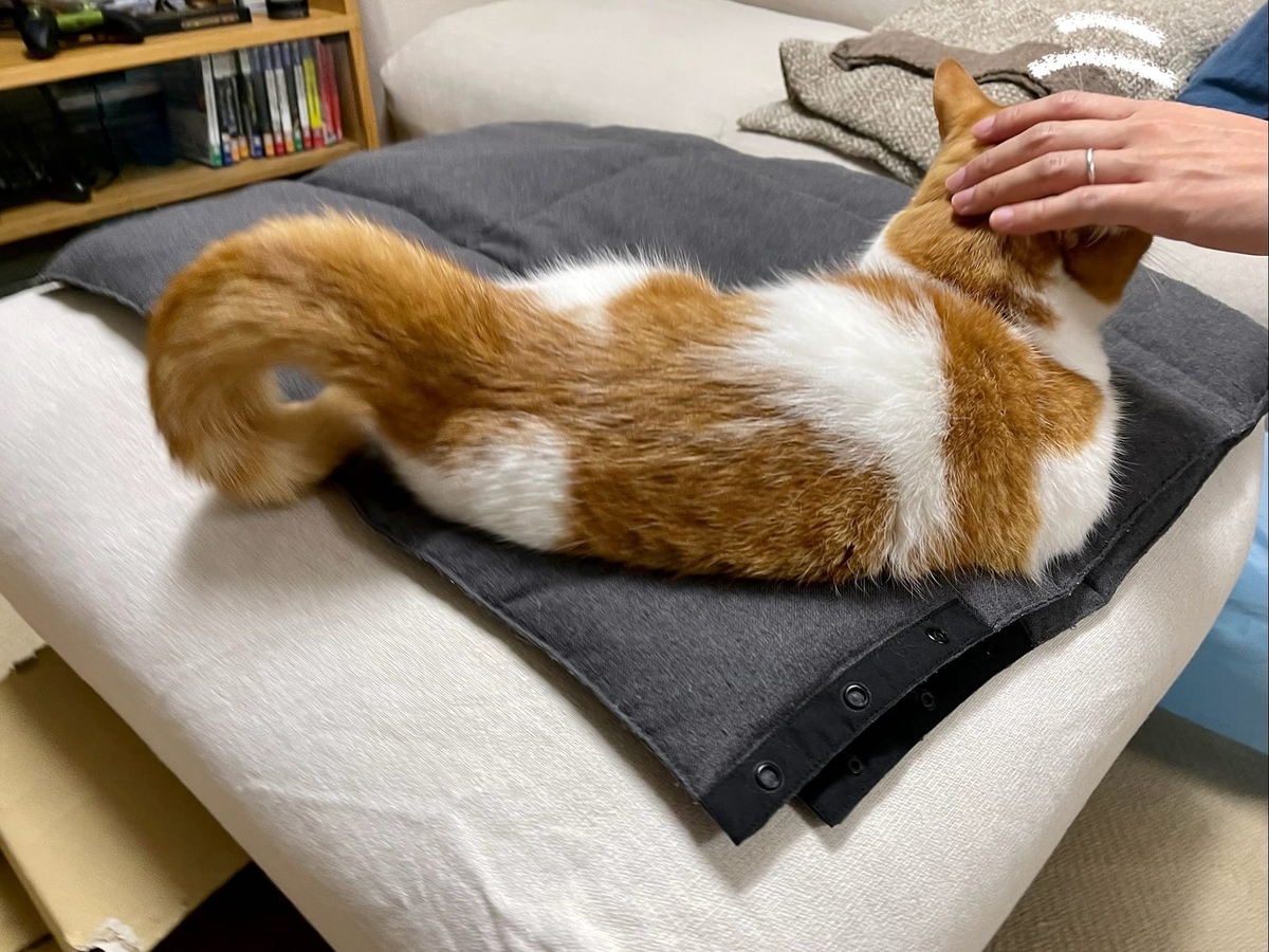 しっぽがまるくなるるるちゃん1