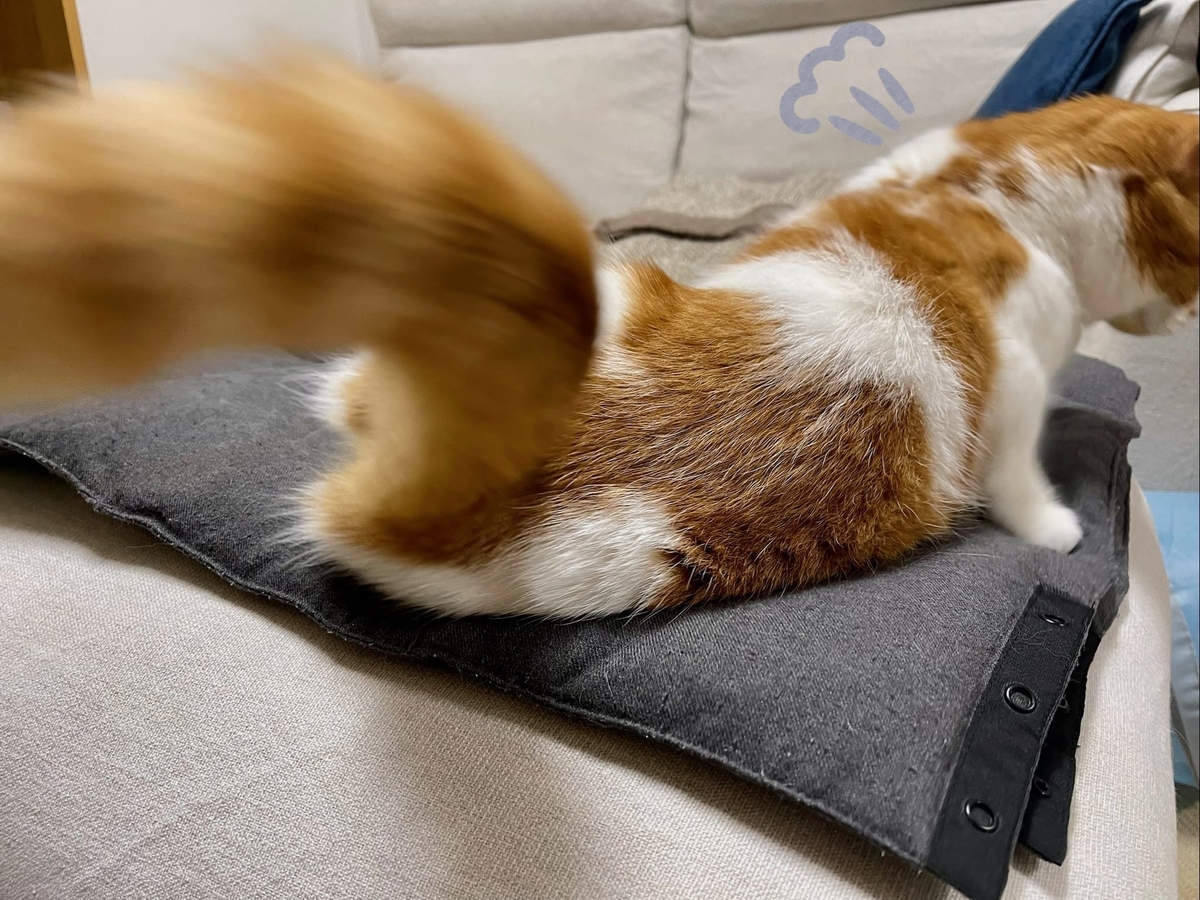 しっぽがまるくなるるるちゃん3