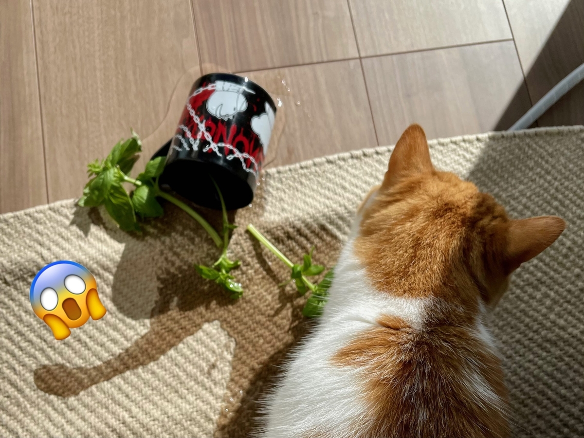 倒されたバジル