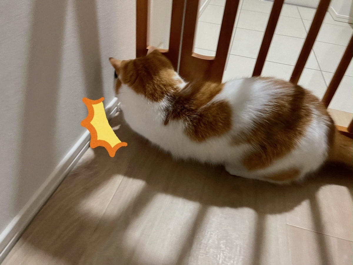 コルクでホッケーするるるちゃん3