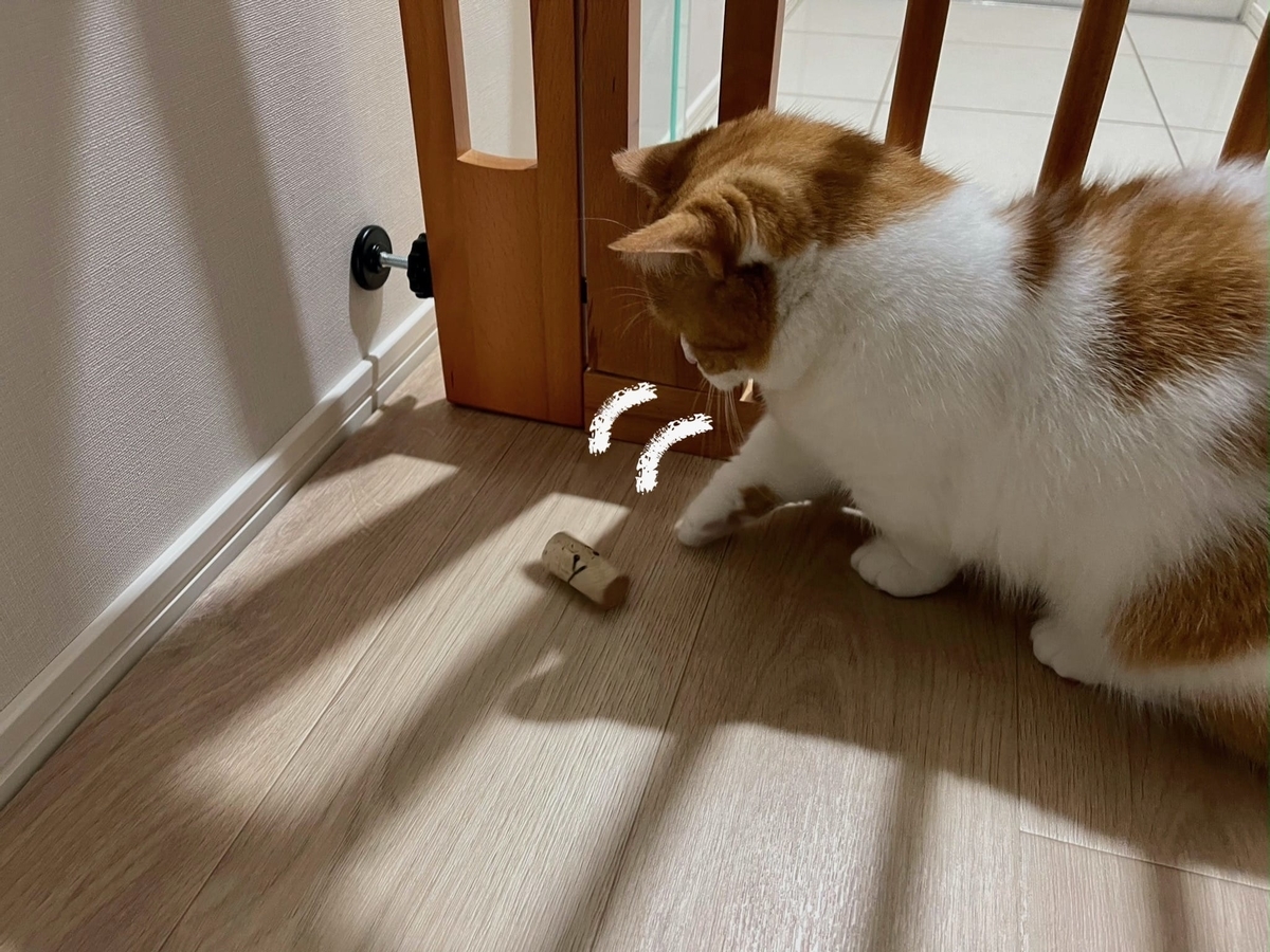 コルクでホッケーするるるちゃん1