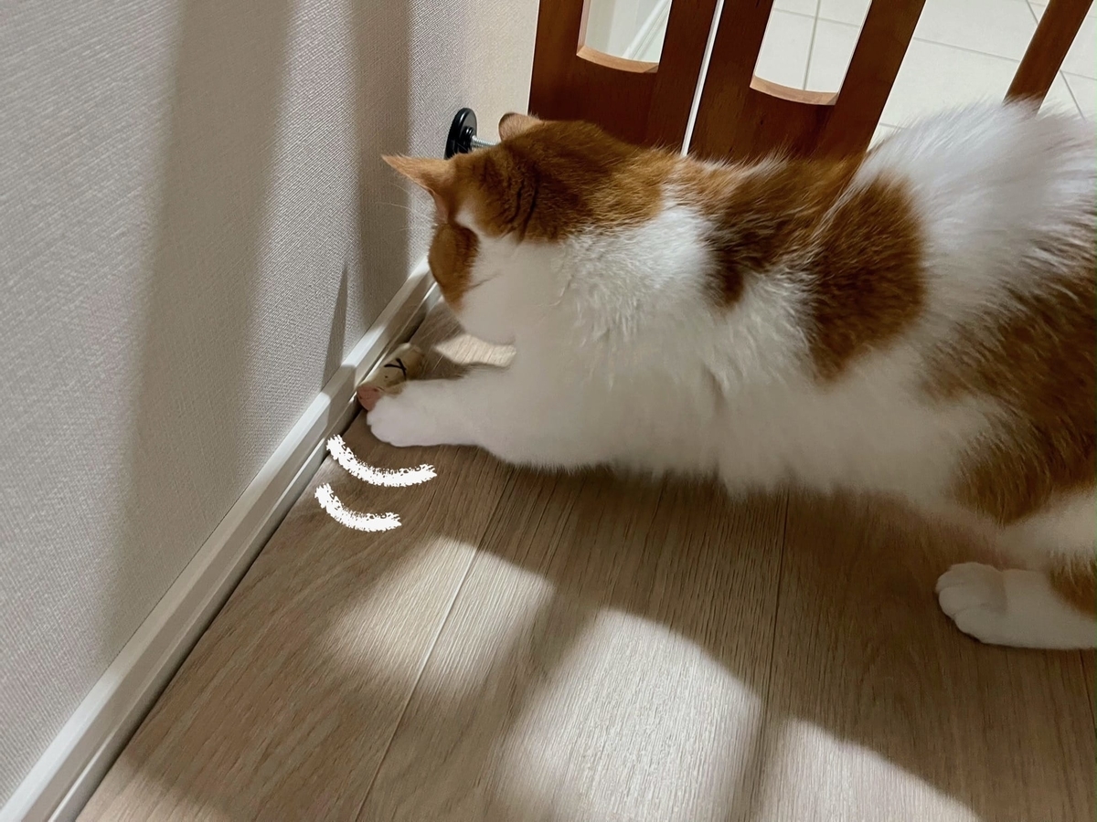 コルクでホッケーするるるちゃん2