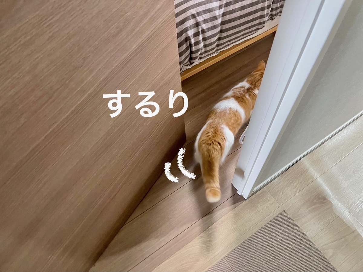 寝室に侵入するるるちゃん