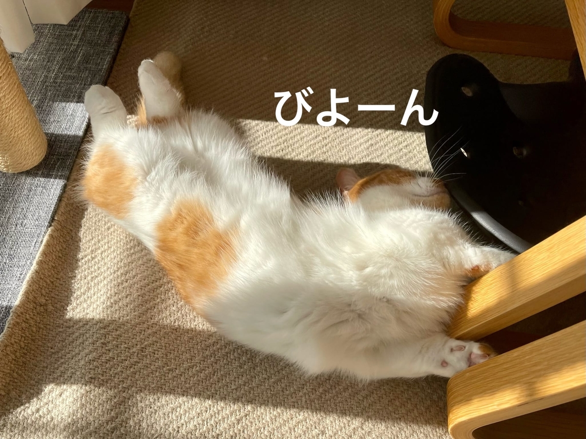 のびのびするるるちゃん