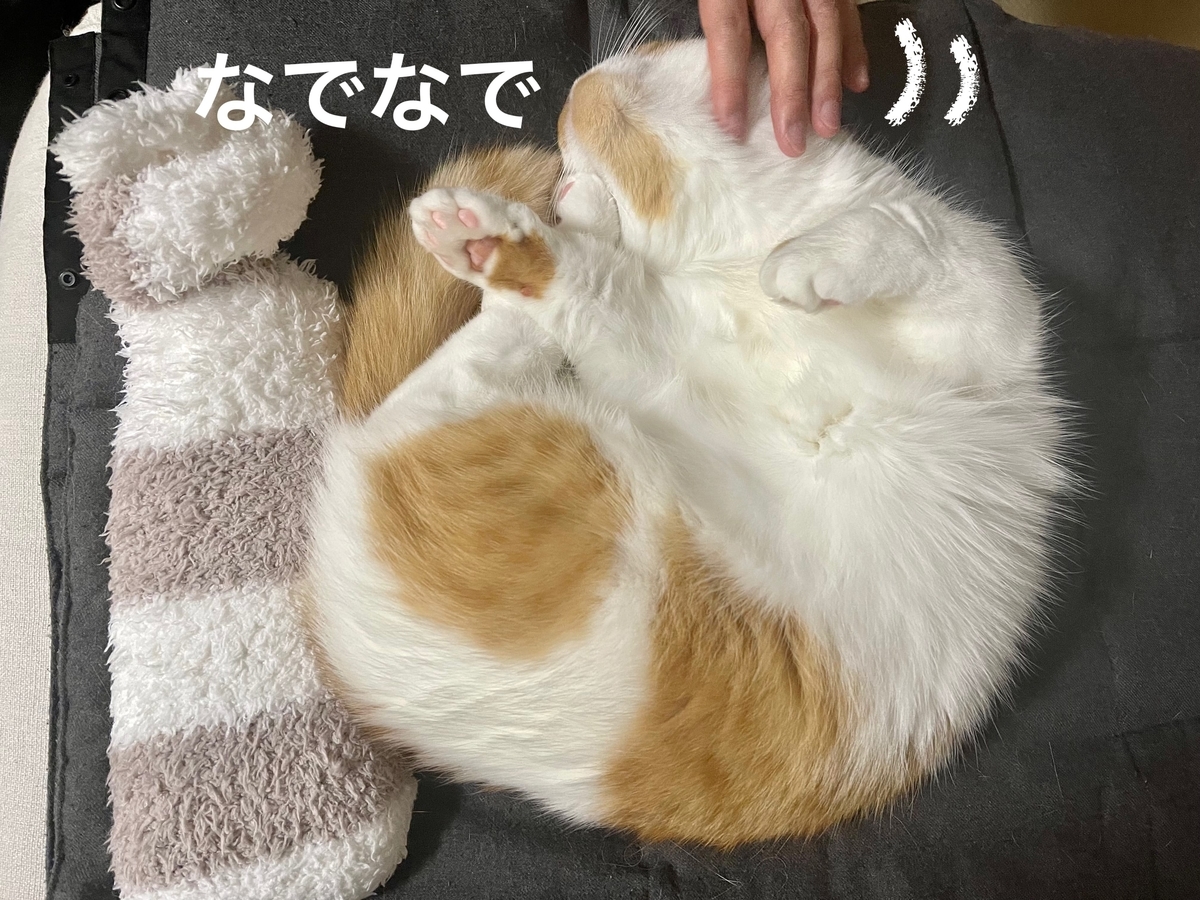 なでなでされるるるちゃん2