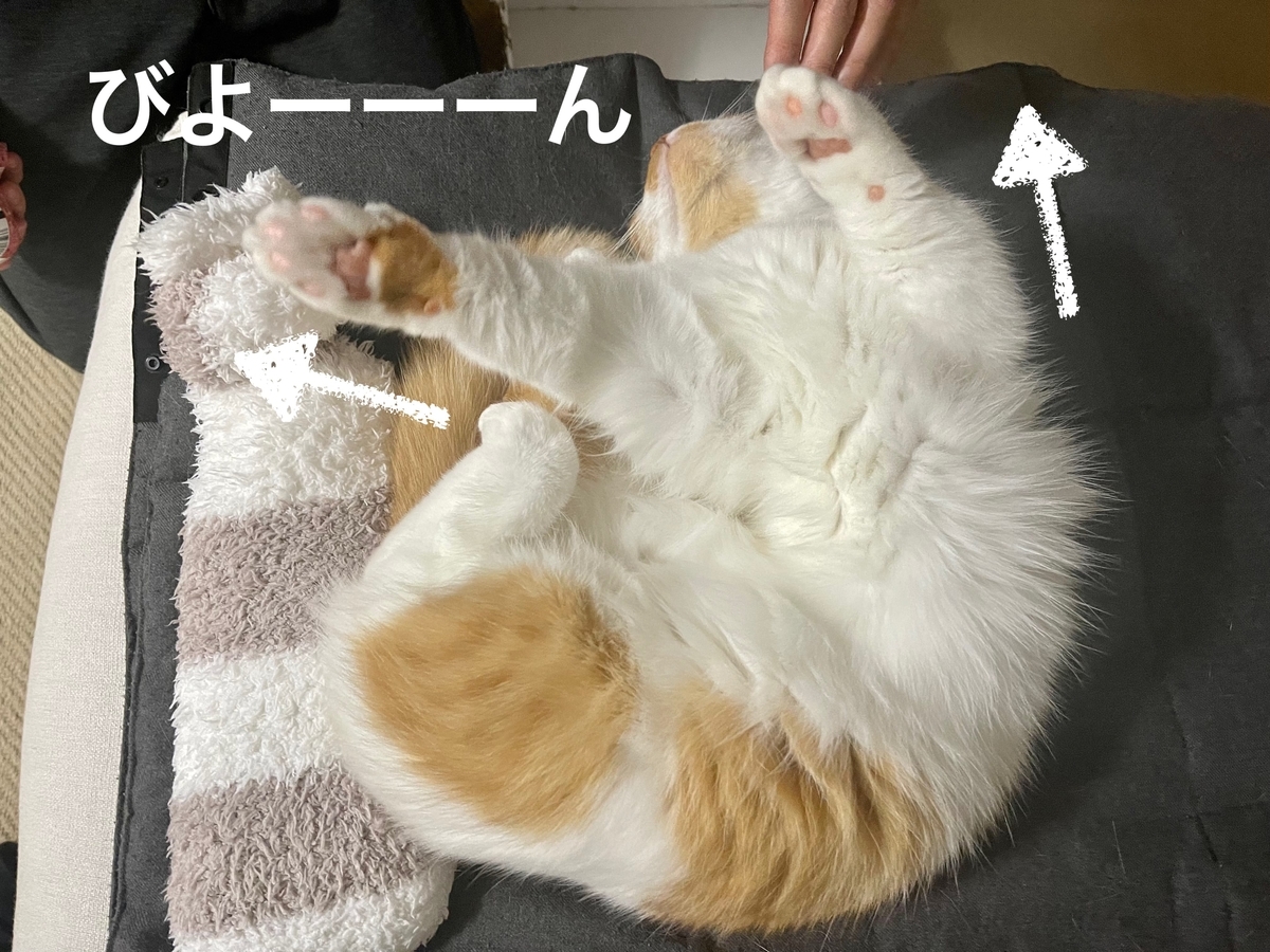 のびるるるちゃん1