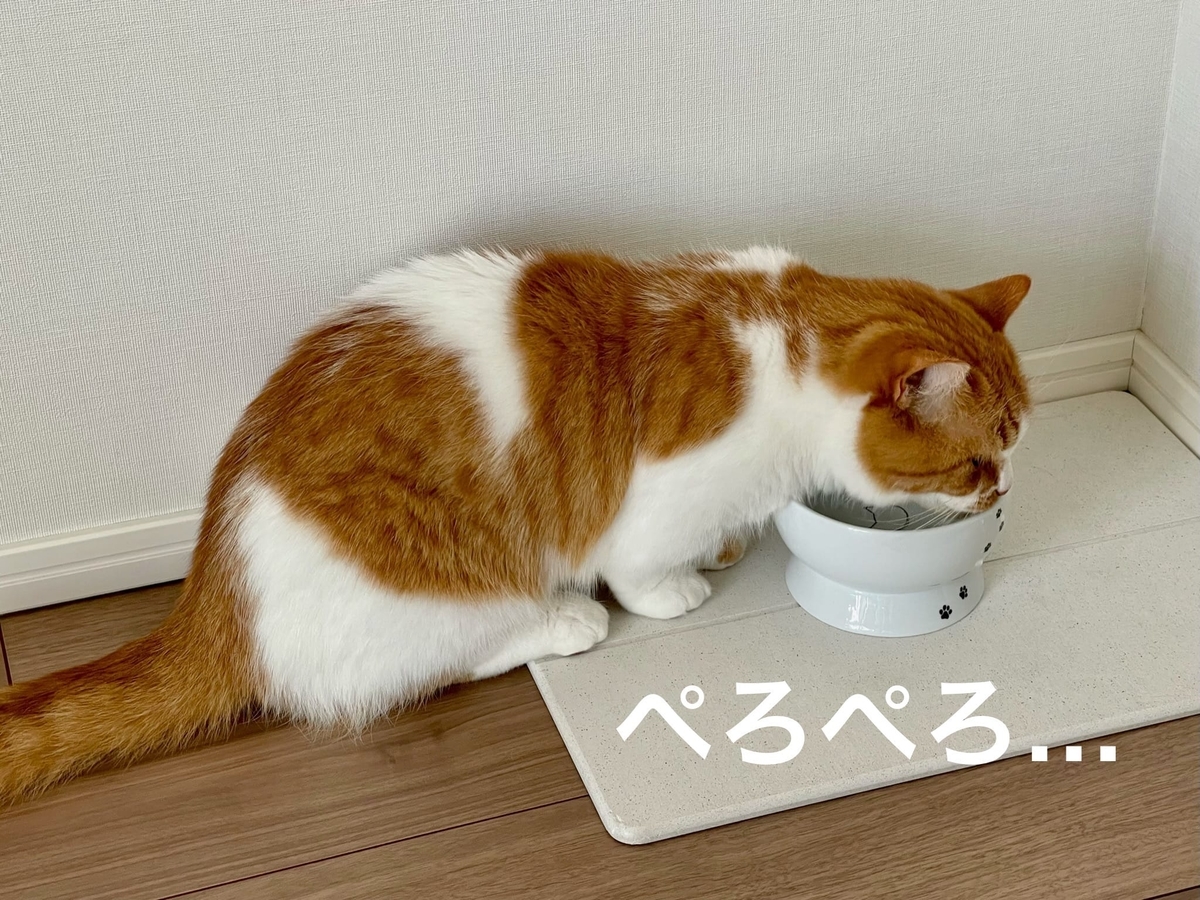 ひさびさに水を飲むるるちゃん2