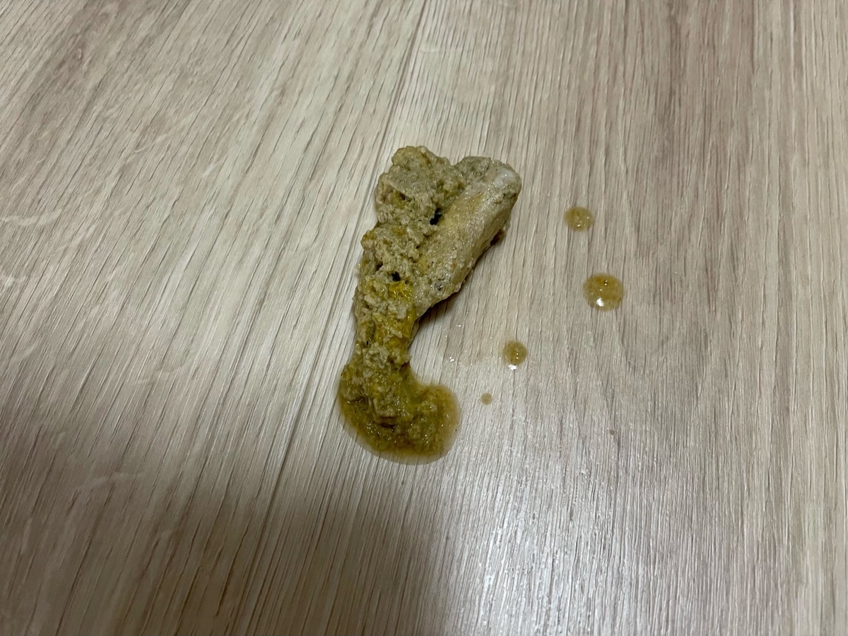 吐き戻し1