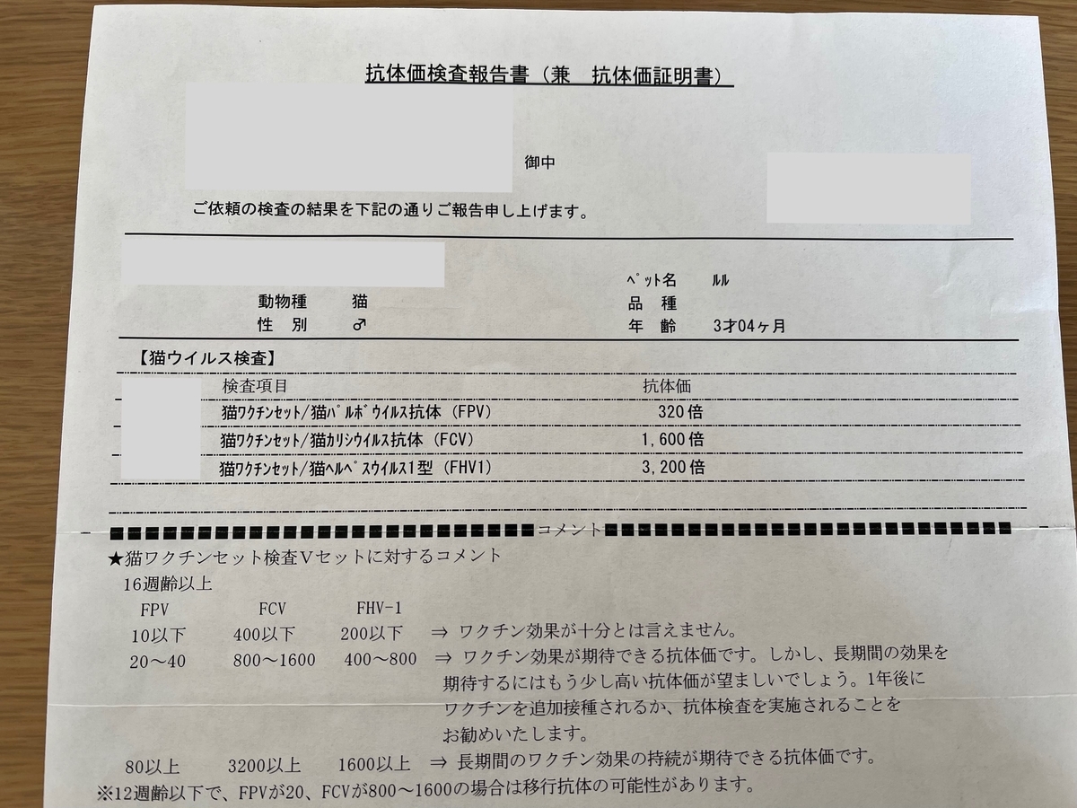 抗体価検査の結果