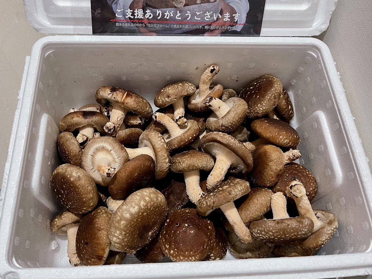 飛騨市のしいたけ1