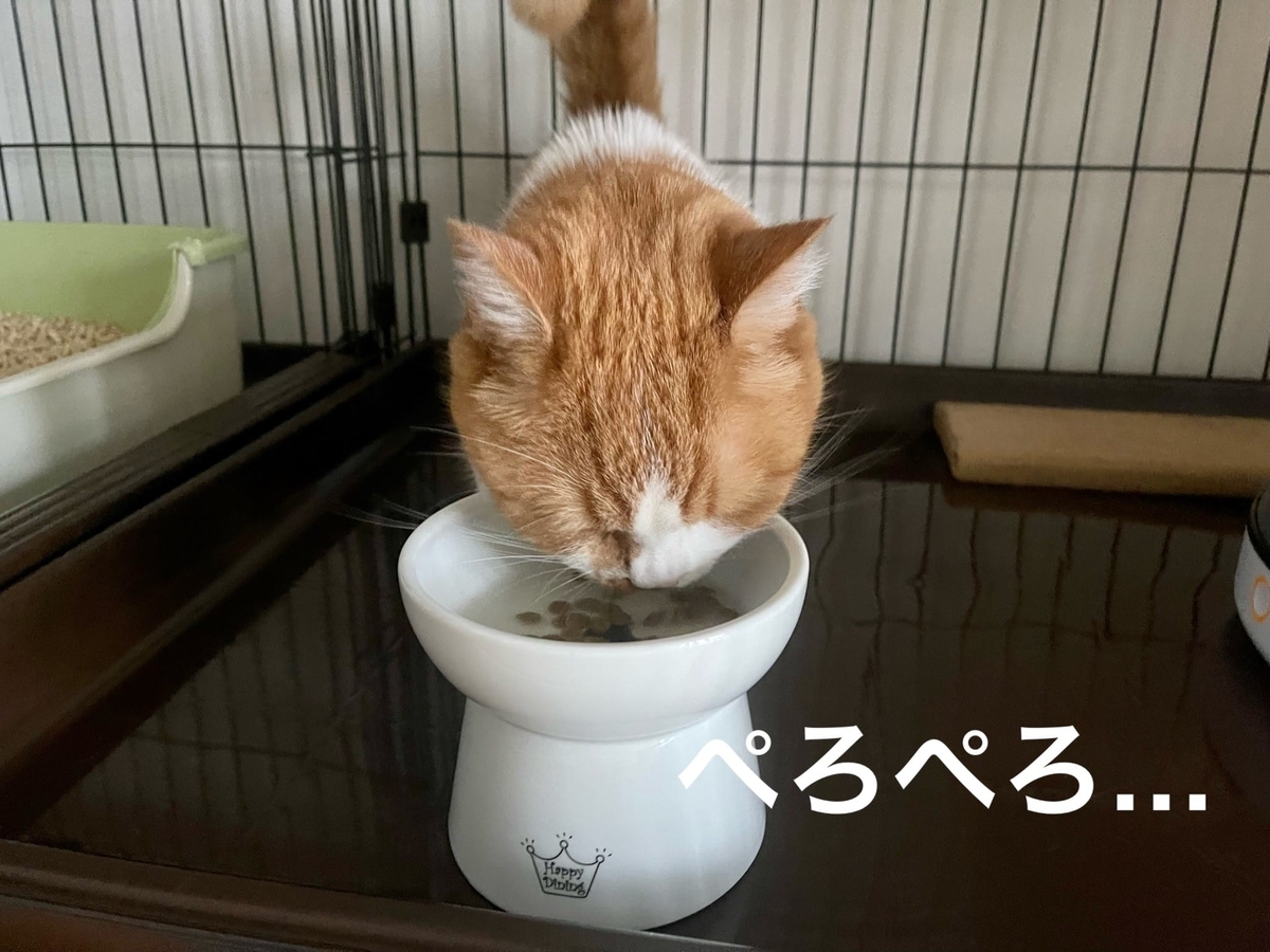 お茶漬けカリカリを食べるるるちゃん