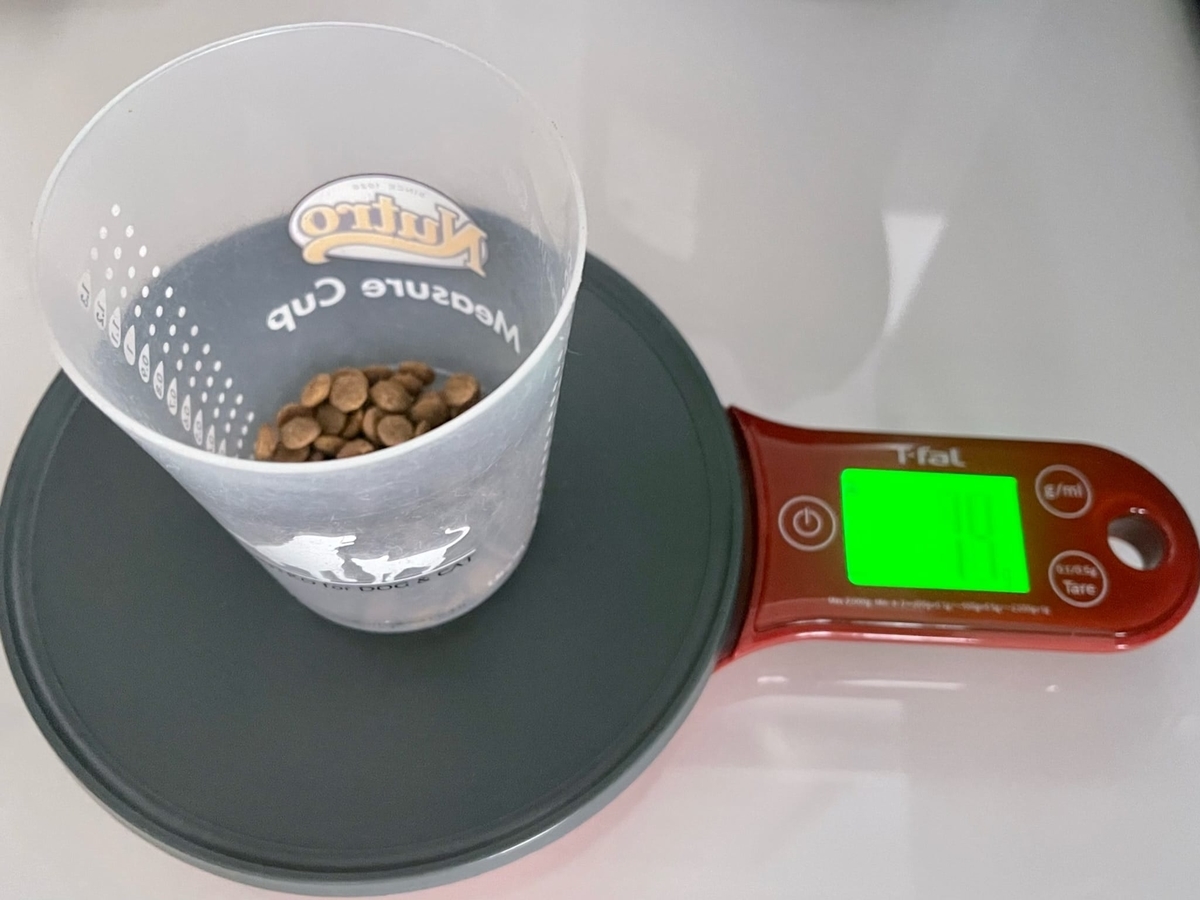 朝食のシュプレモ