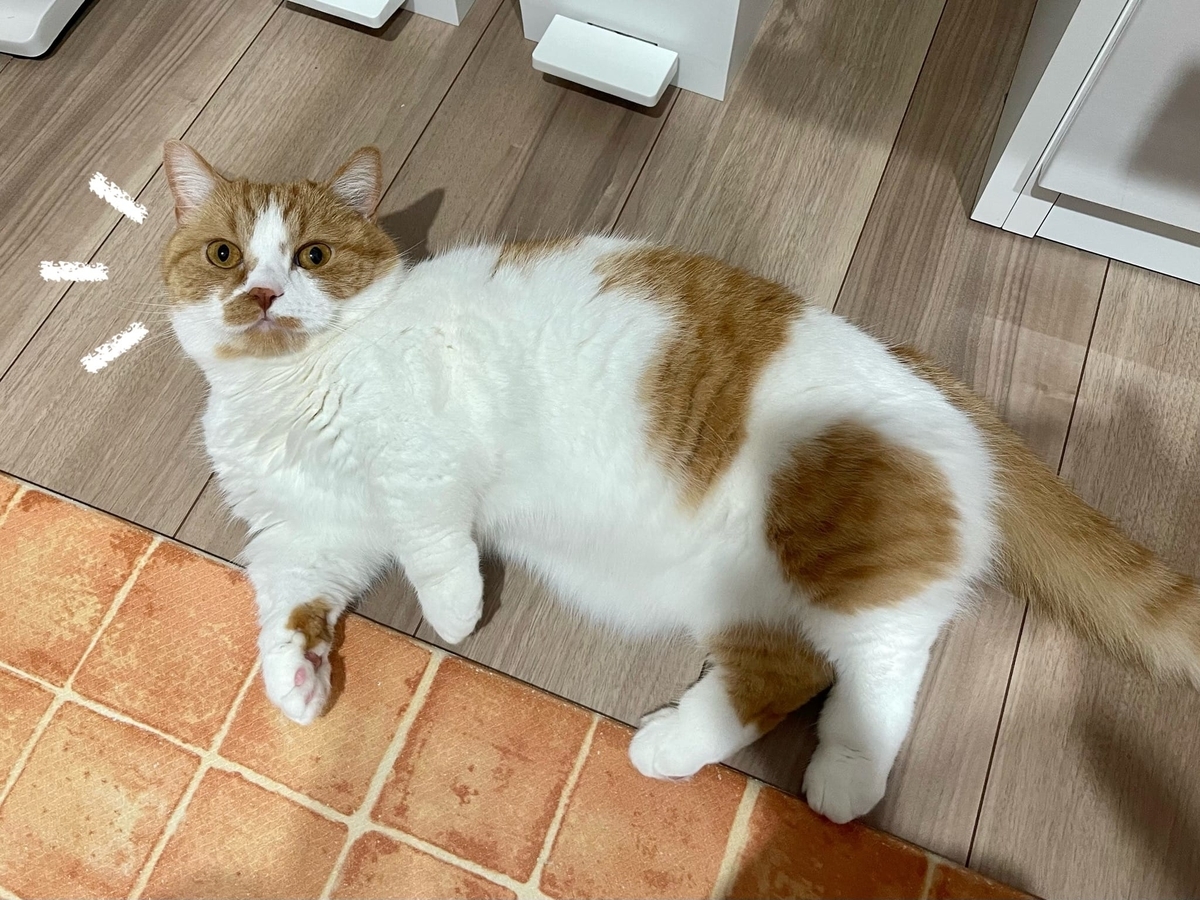 満足げなるるちゃん