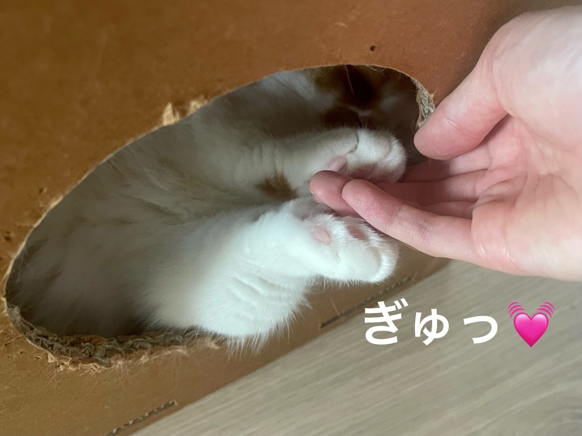 握手会のるるちゃん