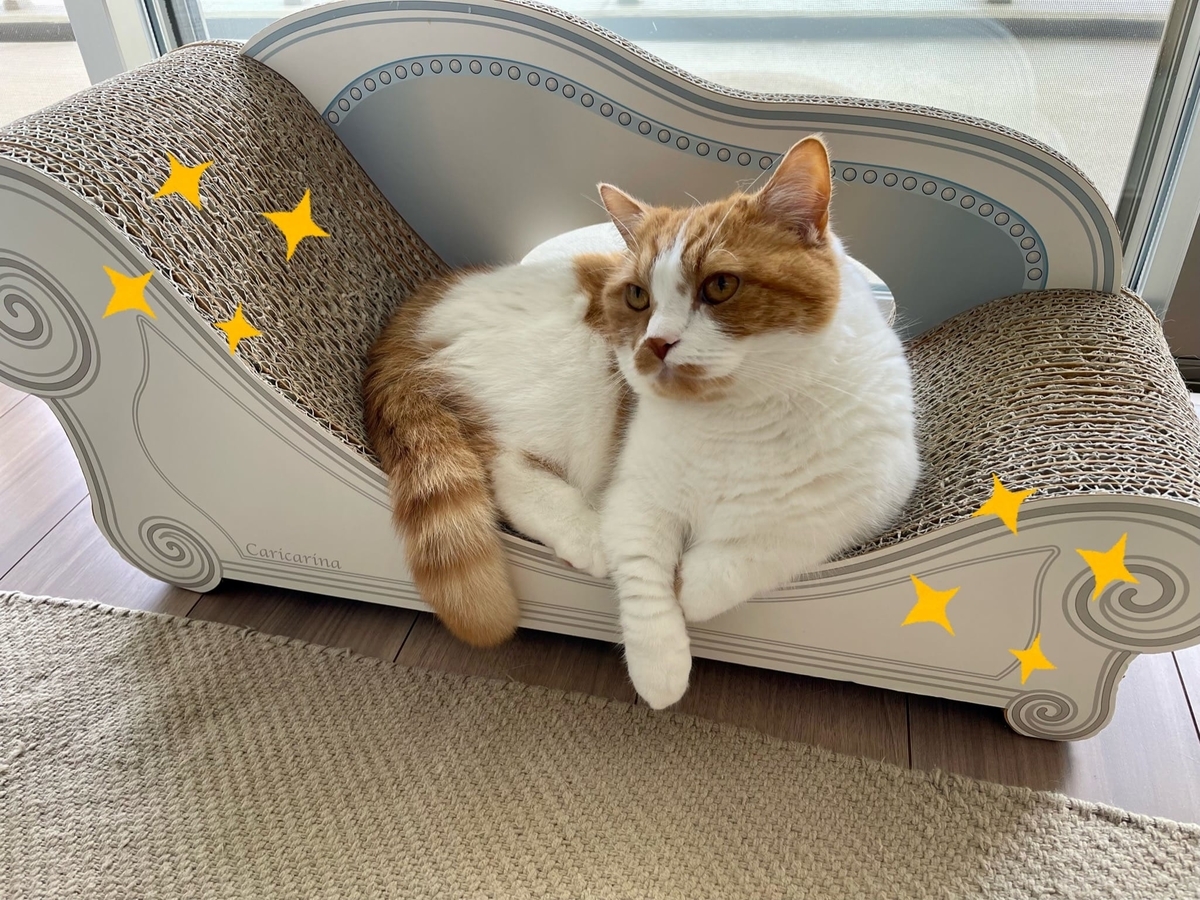 カリカリーナ カリカリーナ 猫 ネコ ねこ 爪研ぎ ベーシック グランデ