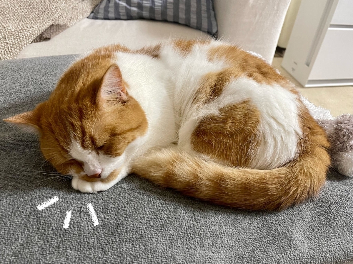 お手手を枕にするるるちゃん