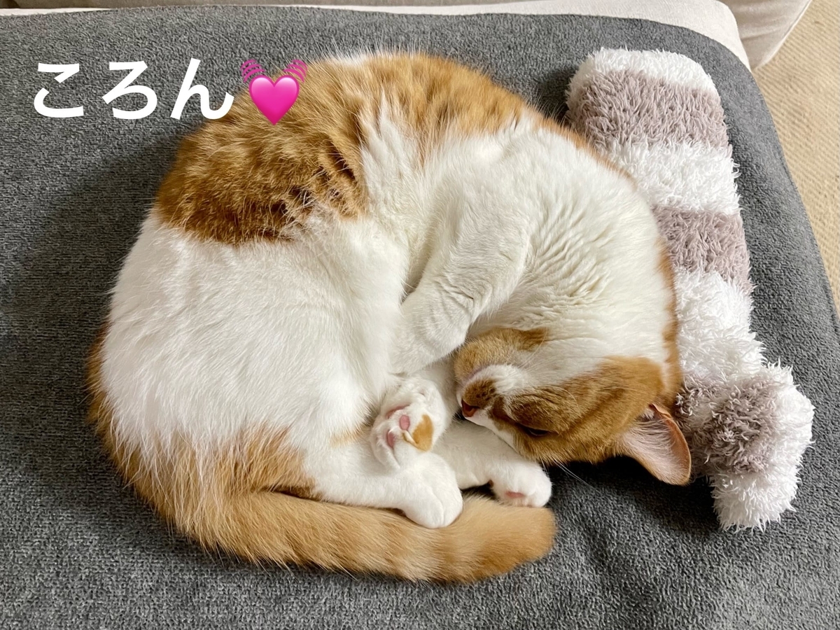 まるまるるるちゃん