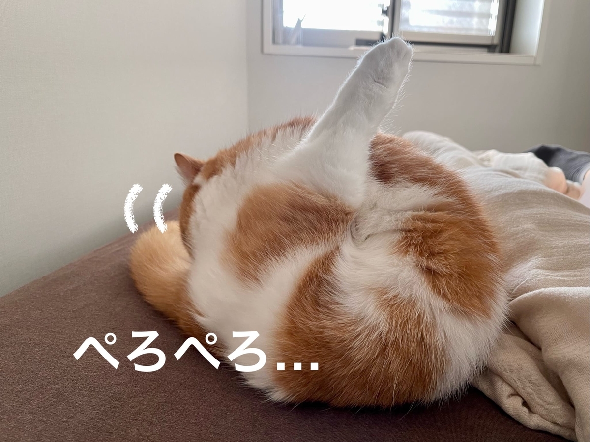 毛づくろい中のるるちゃん