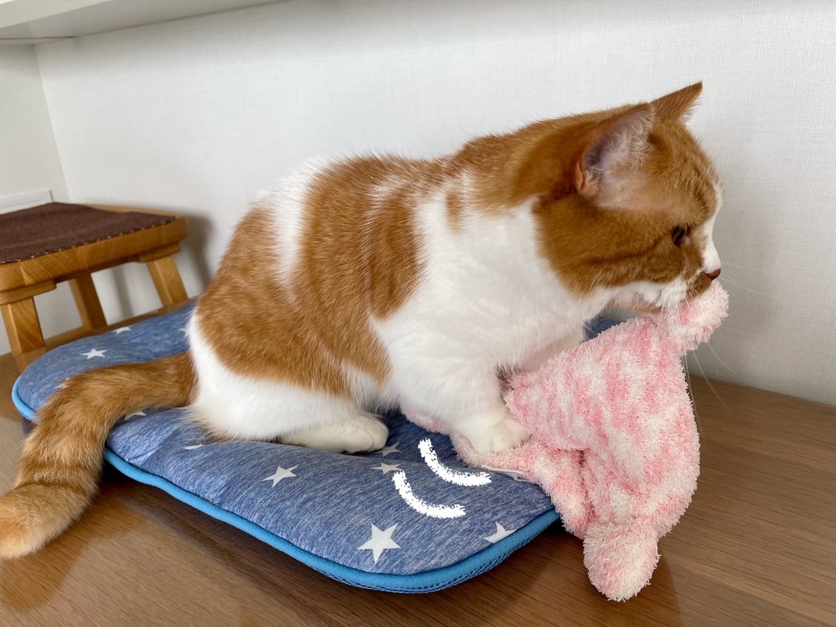 ふみふみするるるちゃん1