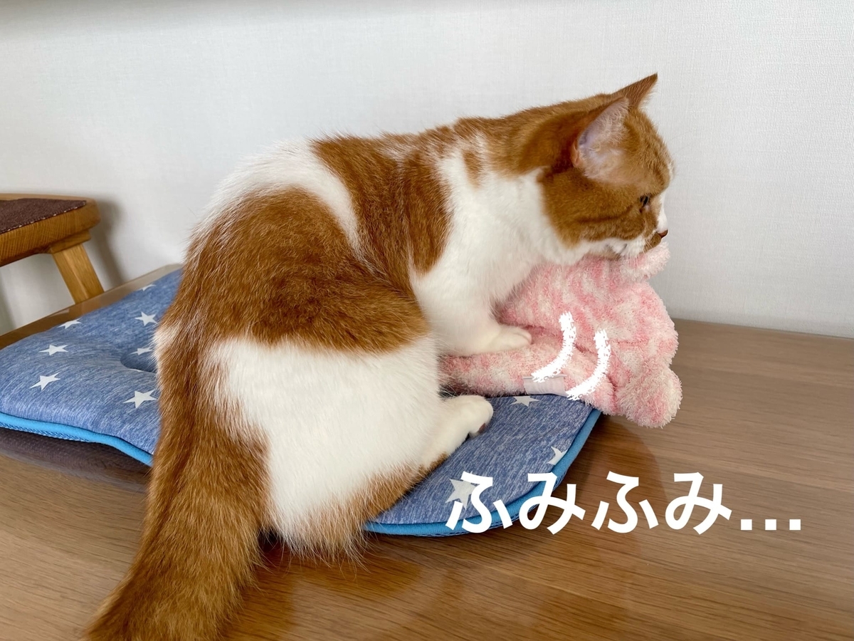 ふみふみするるるちゃん2