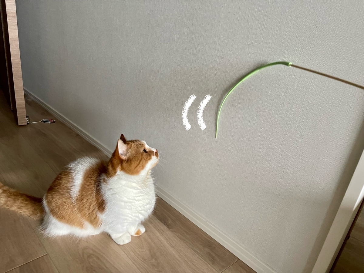なかなか遊びスイッチがONにならない愛猫。最近はとかげのしっぽ遊びが