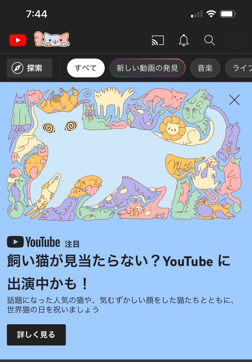 Youtubeの世界猫の日2