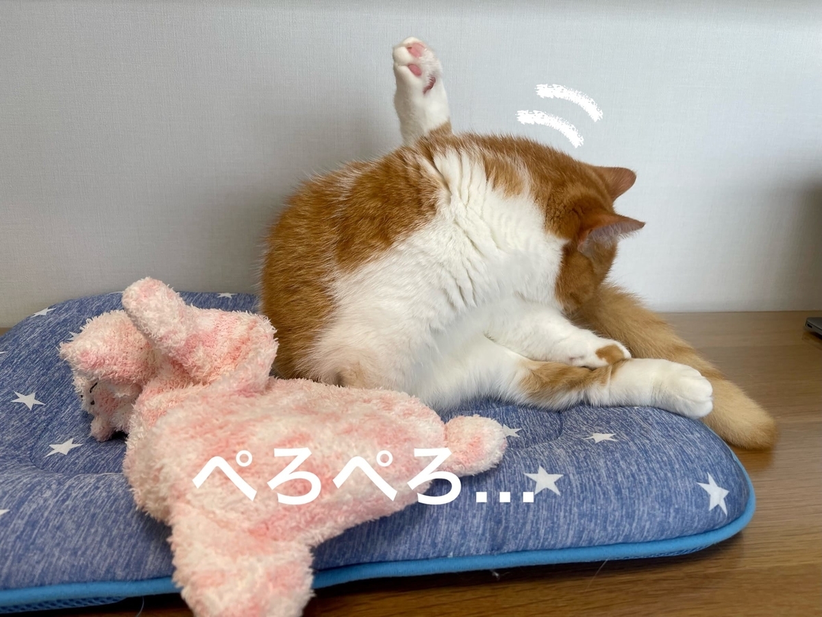 毛づくろい中のるるちゃん