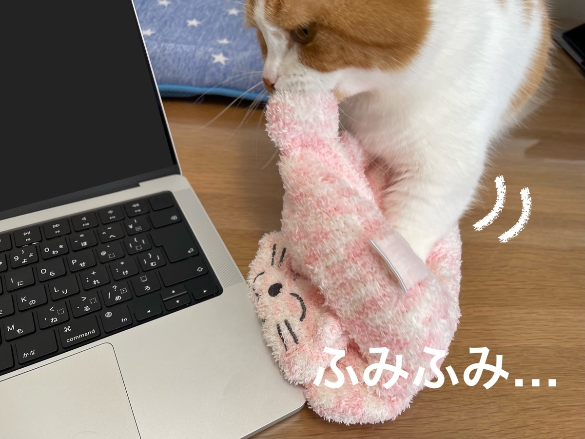 ふみふみ行進するるるちゃん1
