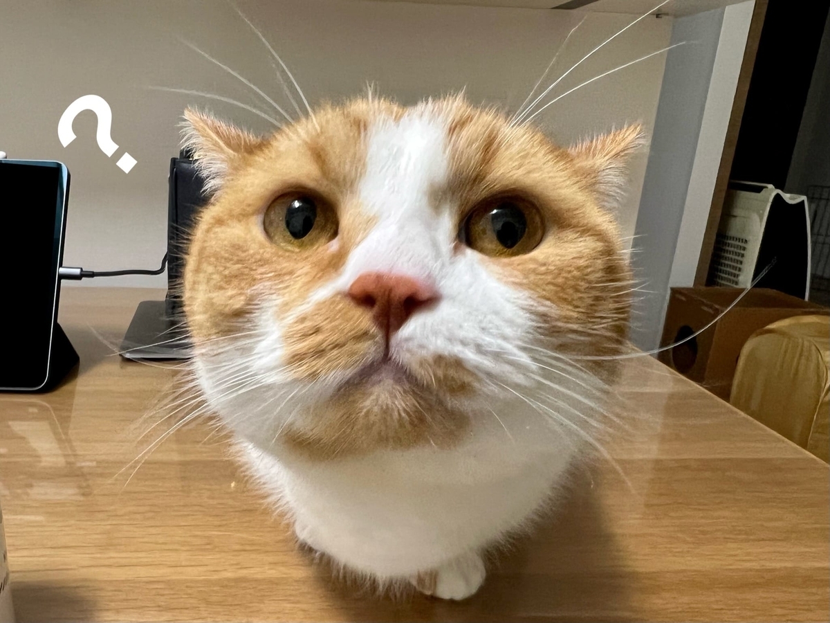 どあっぷのるるちゃん