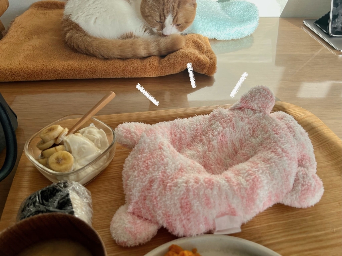 トレーの上にピンクの猫さんを置いてきぼり