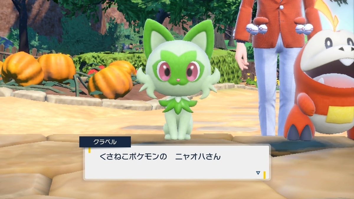 ニャオハたん1