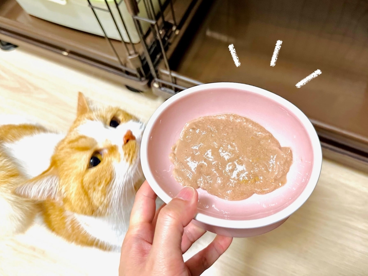 tamaのご飯とるるちゃん3